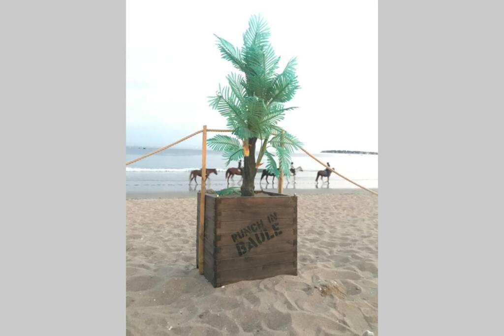 Appartement La Baule 5 Pers A 50 M De Plage エクステリア 写真