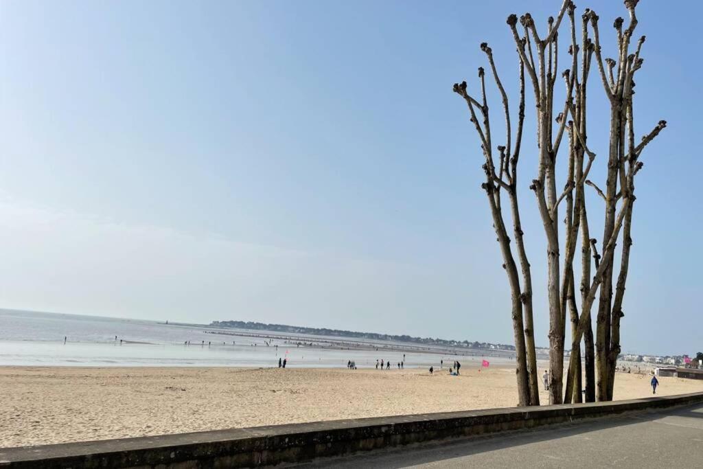 Appartement La Baule 5 Pers A 50 M De Plage エクステリア 写真